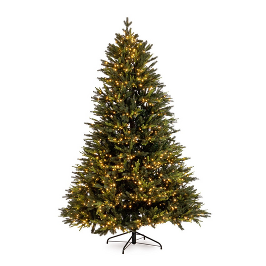 ALBERO BERKSHIRE CON LED BIZZOTTO | albero in pino verde con led| varie misure