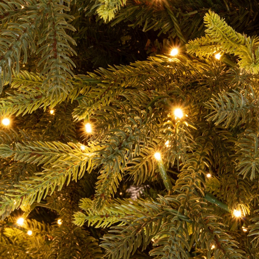 ALBERO BERKSHIRE CON LED BIZZOTTO | albero in pino verde con led| varie misure
