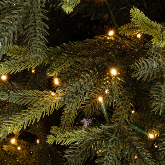ALBERO BERKSHIRE CON LED BIZZOTTO | albero in pino verde con led| varie misure