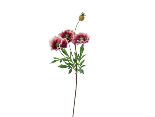BUNDLE PAPAVERO BRUCO | mazzetto con 4 fiori | 69cm