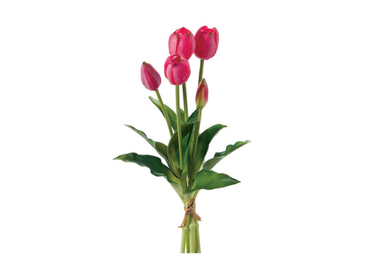 BUNDLE TULIPANO BRUCO | mazzetto con 5 fiori vari colori | 40cm