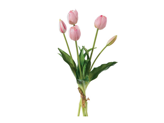 BUNDLE TULIPANO BRUCO | mazzetto con 5 fiori vari colori | 40cm