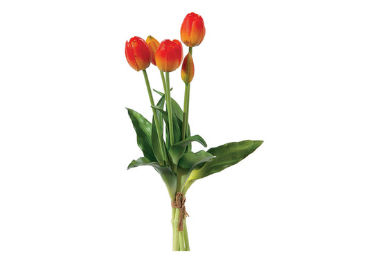 BUNDLE TULIPANO BRUCO | mazzetto con 5 fiori vari colori | 40cm