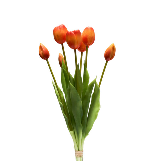BUNDLE TULIPANO HENRIETTE | mazzetto con 7 fiori vari colori | 39cm