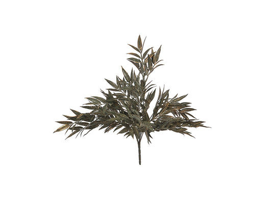 BUSH RUSCUS BRUCO | 63cm