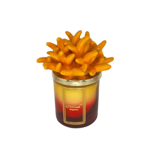 CANDELA BICOLORE ANEMONE MELAVERDE | in vetro e ceramica di Capodimonte vari colori | varie misure