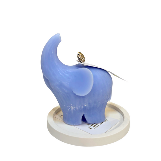 CANDELA ELEFANTINO LAGUNA VENEZIA | cotone e sandalo | varie misure