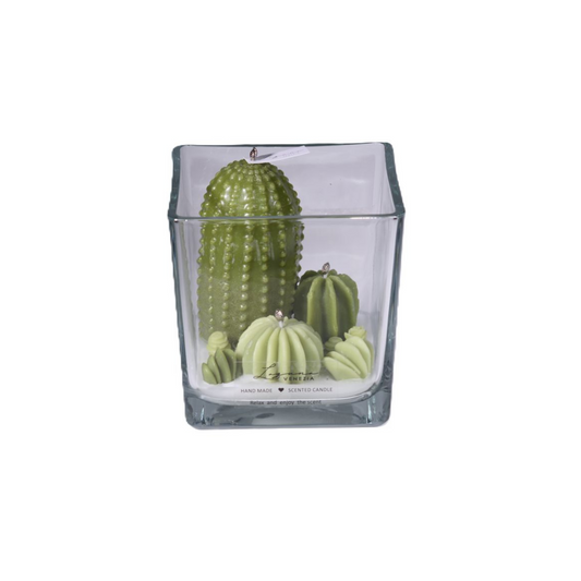 CANDELA GIARDINO CACTUS LAGUNA VENEZIA | in vetro | varie misure
