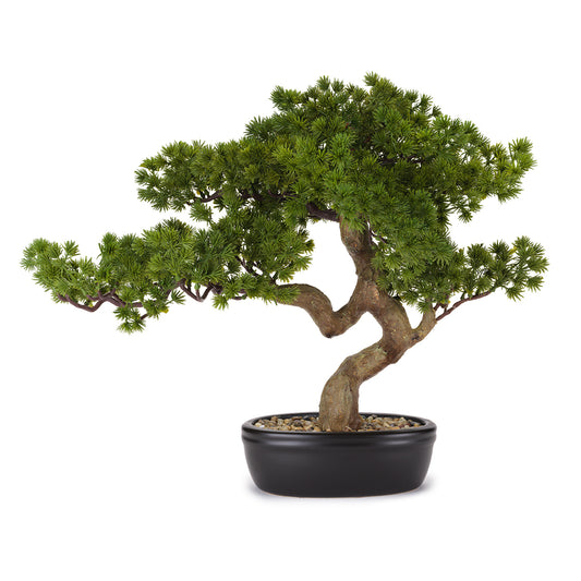 BONSAI CON VASO HENRIETTE | real touch | 56x43cm