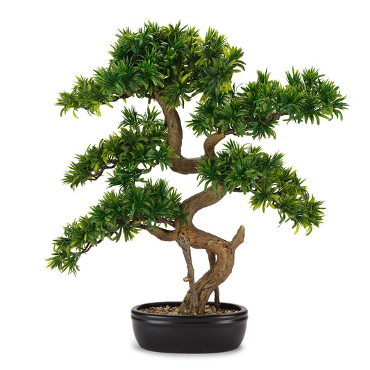 BONSAI TASSO GIAPPONESE CON VASO HENRIETTE | real touch | 62x71cm