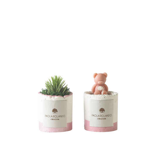 KIT PIANTA GRASSA E CANDELA ORSETTO PAOLA ROLANDO | vaso in cementino | 2pz