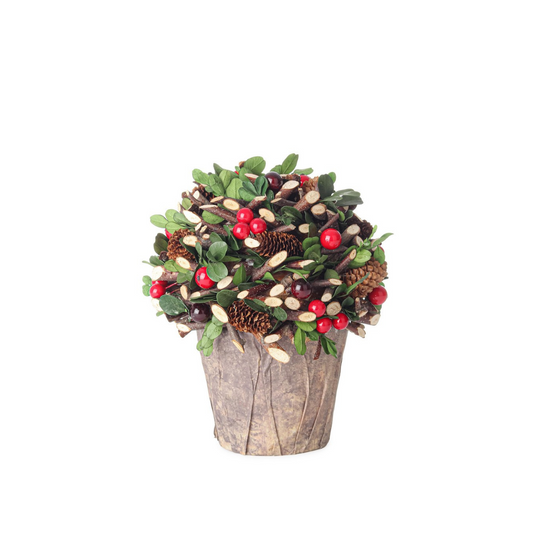 PIANTA ELOISE CON BACCHE BIZZOTTO | in vaso con pigne | Ø16x21cm