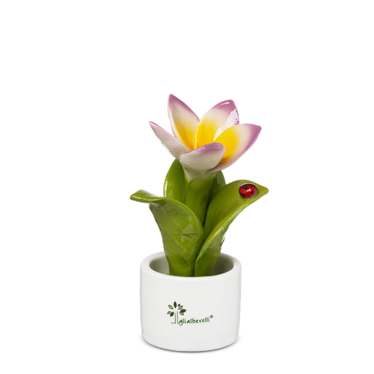 PIANTINA FRANGIPANE GLI ALBERELLI | in ceramica di Capodimonte vari colori | Ø6x14cm