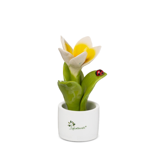 PIANTINA FRANGIPANE GLI ALBERELLI | in ceramica di Capodimonte vari colori | Ø6x14cm