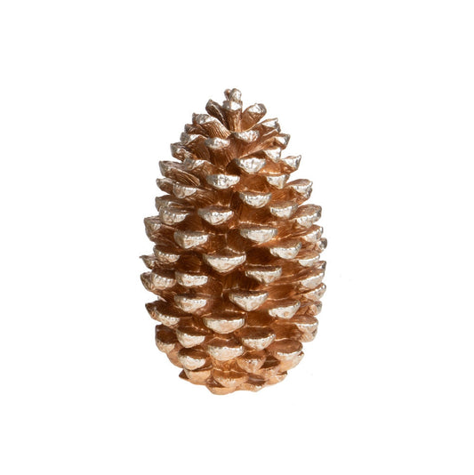 PIGNA BRANDANI | in resina | varie misure