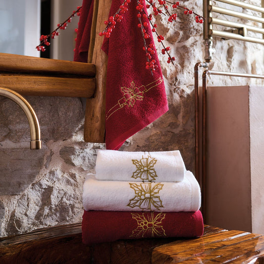 SET ASCIUGAMANO VISO RICAMATO PREZIOSI MAISON SUCRÉE | con ospite | 2pz