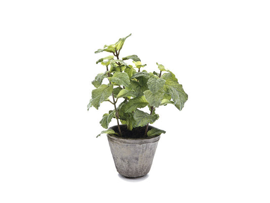 VASETTO MENTA VERDE | Ø10x21cm - | Adele Chérie - articoli da regalo e bomboniere