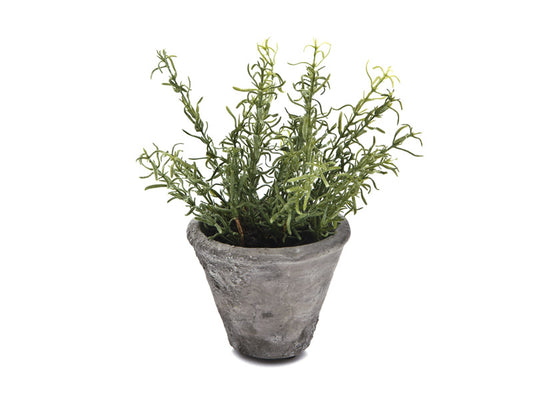 VASETTO ROSMARINO VERDE | Ø12x24cm - | Adele Chérie - articoli da regalo e bomboniere