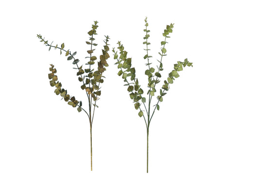 RAMO EUCALIPTUS ALMA | 75cm - | Adele Chérie - articoli da regalo e bomboniere