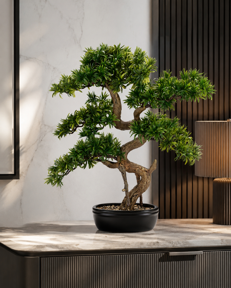 BONSAI TASSO GIAPPONESE CON VASO HENRIETTE - real touch - 62x71cm | Adele Chérie