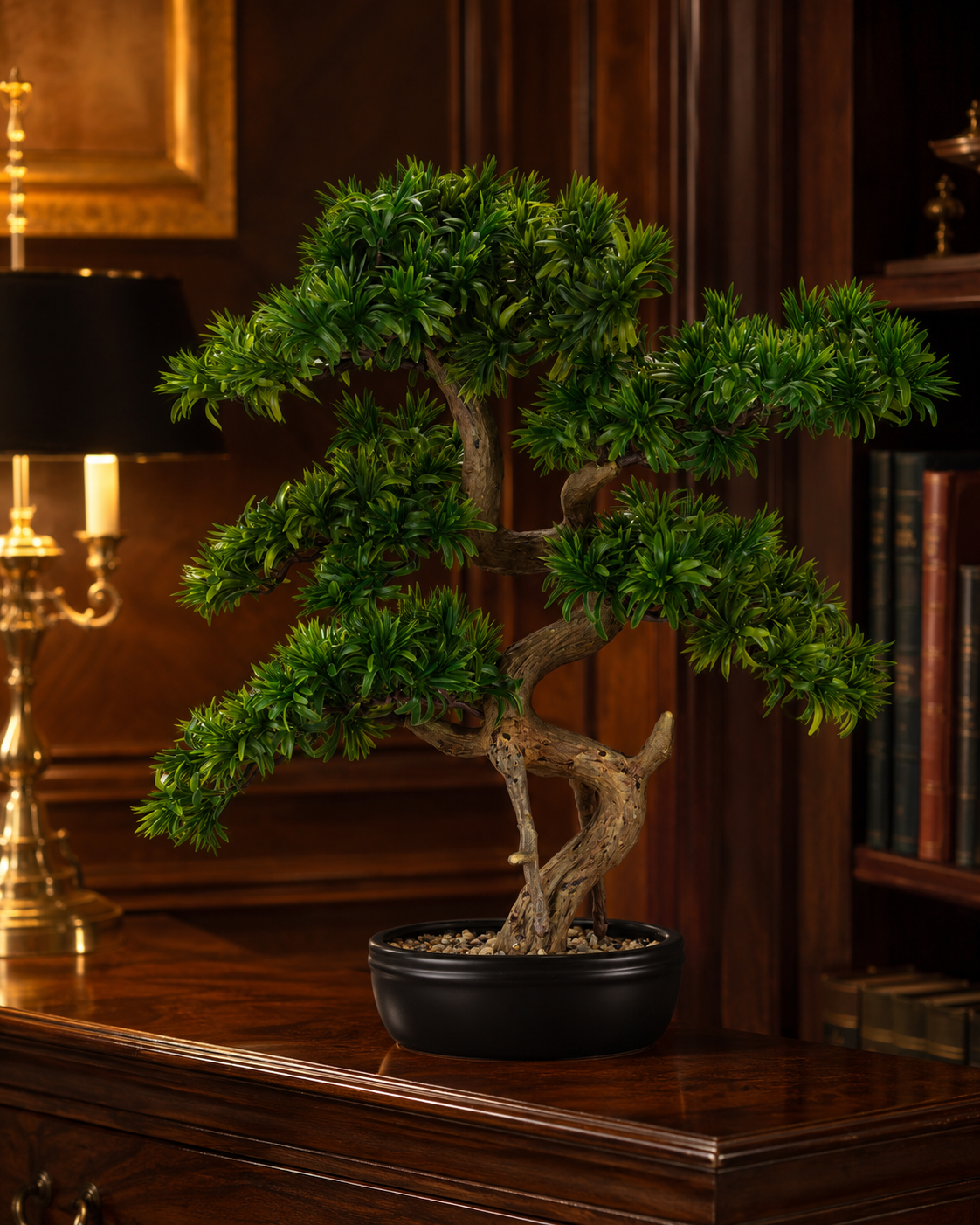 BONSAI TASSO GIAPPONESE CON VASO HENRIETTE | real touch | 62x71cm