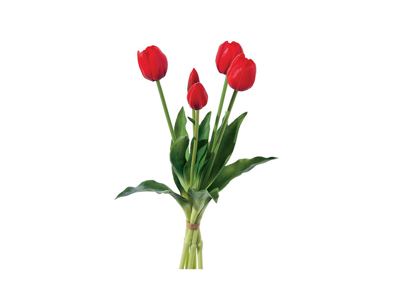 BUNDLE TULIPANO BRUCO - mazzetto con 5 fiori vari colori - 40cm | Adele Chérie