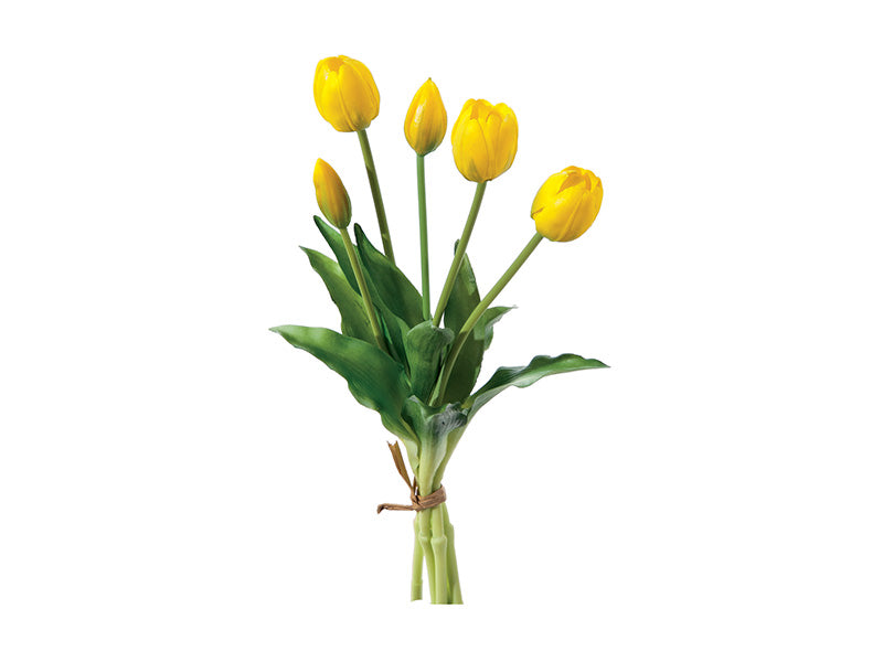 BUNDLE TULIPANO BRUCO - mazzetto con 5 fiori vari colori - 40cm - foto 4 | Adele Chérie