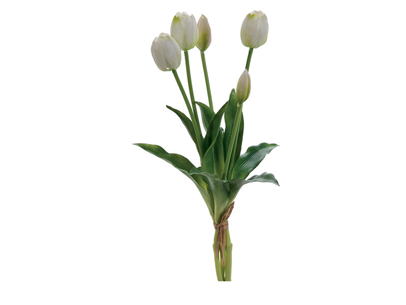 BUNDLE TULIPANO BRUCO - mazzetto con 5 fiori vari colori - 40cm - foto 5 | Adele Chérie