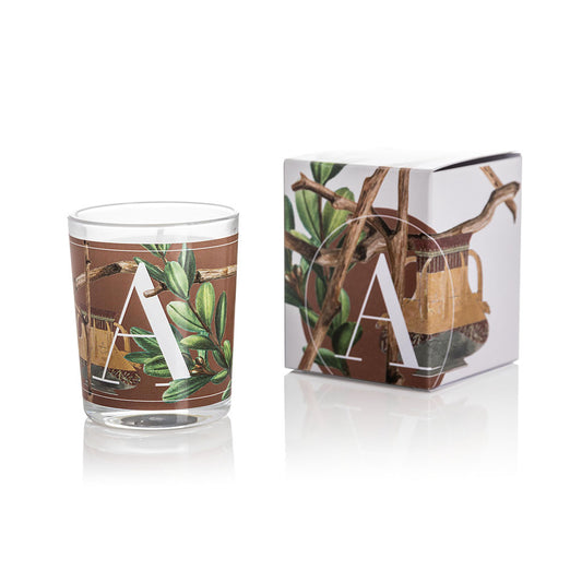CANDELA AMBER&WOOD PERNICI | cera di soia | 70g