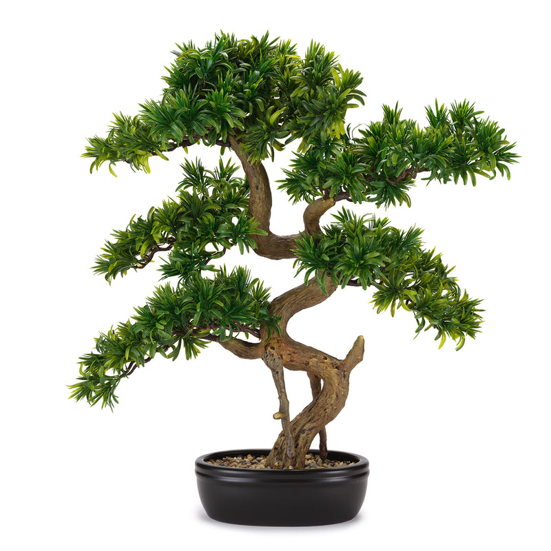BONSAI TASSO GIAPPONESE CON VASO HENRIETTE - real touch - 62x71cm | Adele Chérie