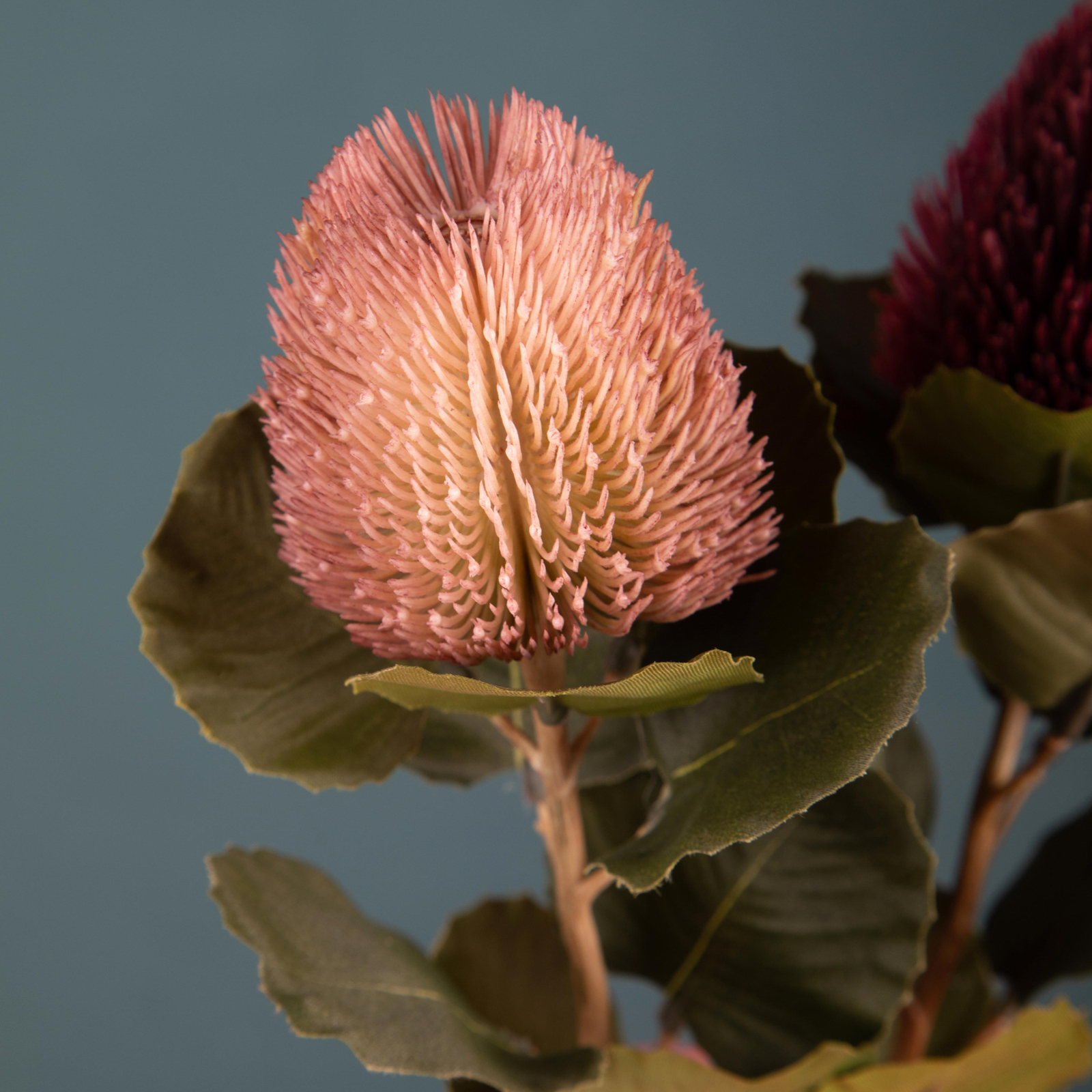 FIORE BANKSIA DINO BIANCHI - 59cm - foto 2 | Adele Chérie