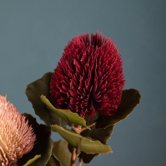 FIORE BANKSIA DINO BIANCHI - 59cm - foto 3 | Adele Chérie