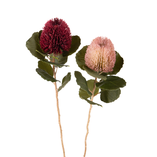 FIORE BANKSIA DINO BIANCHI - 59cm | Adele Chérie