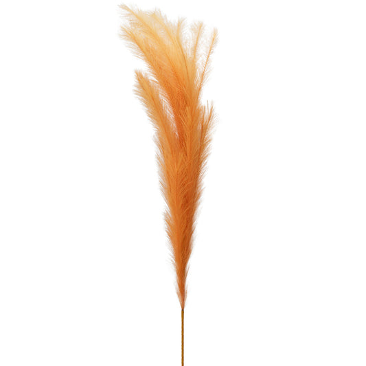 PAMPAS ARANCIO HENRIETTE - 130cm | Adele Chérie