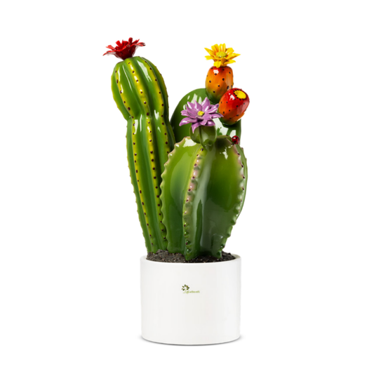 PIANTA GRASSA GLI ALBERELLI | in ceramica di Capodimonte | varie misure