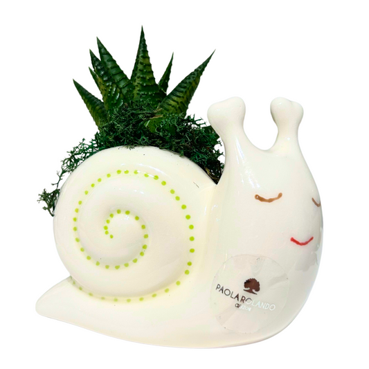 PIANTA GRASSA LUMACA PAOLA ROLANDO | vaso in ceramica | 12x6x12cm