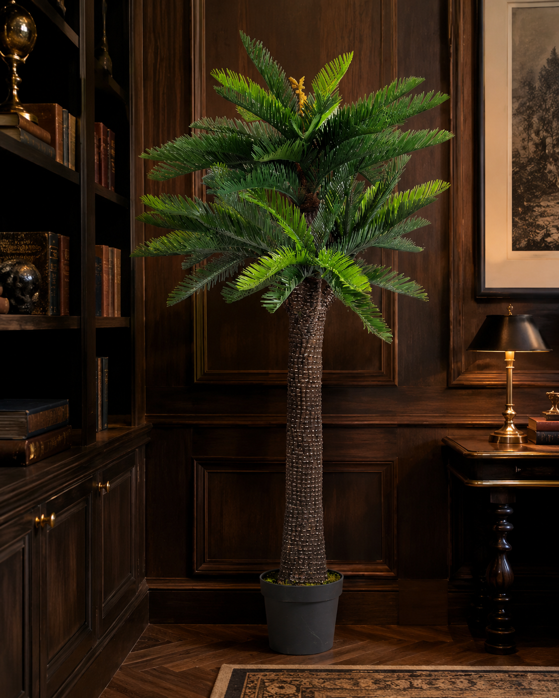 PIANTA PALMA CYCAS BIZZOTTO | in vaso | varie misure