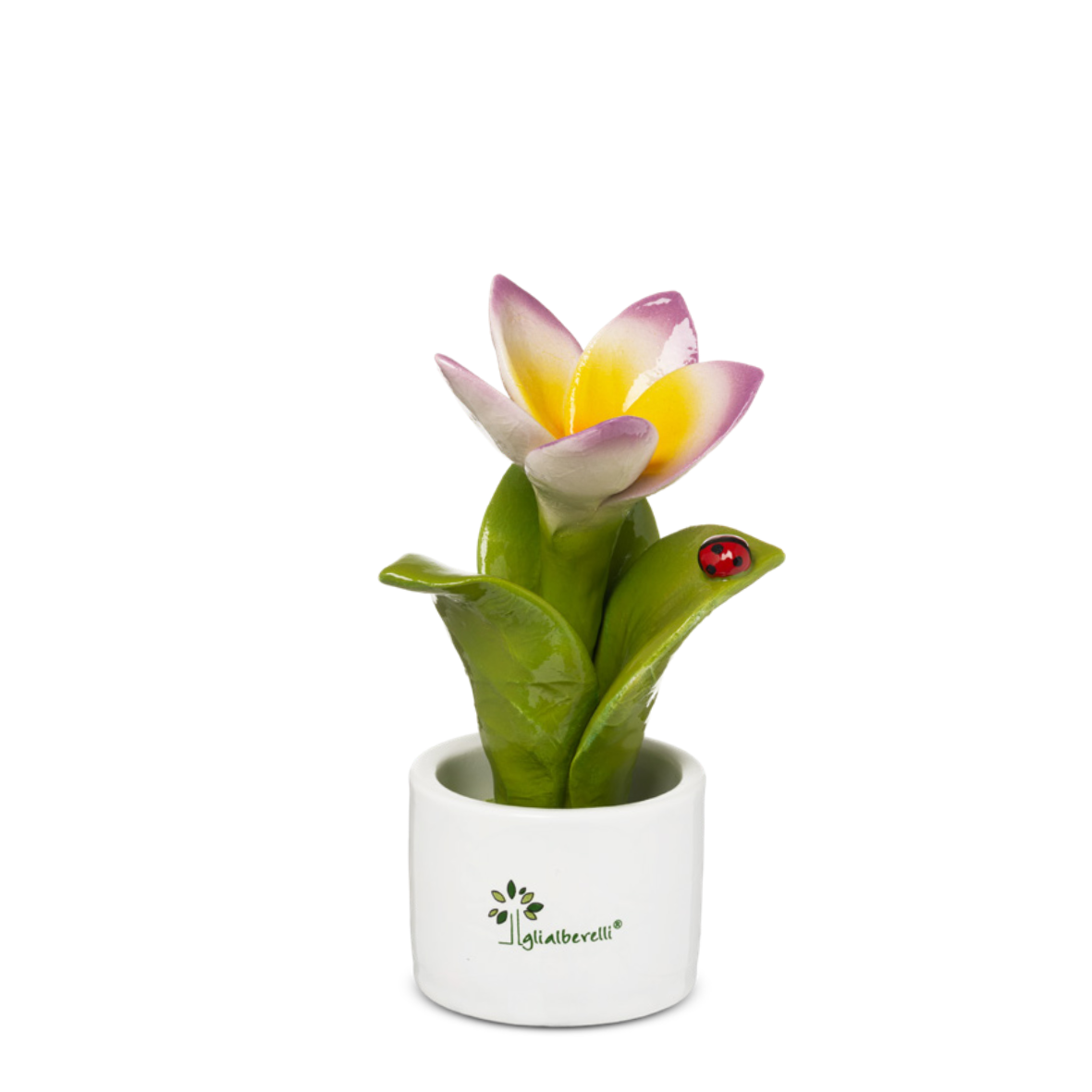 PIANTINA FRANGIPANE GLI ALBERELLI - in ceramica di Capodimonte vari colori - Ø6x14cm - foto 4 | Adele Chérie