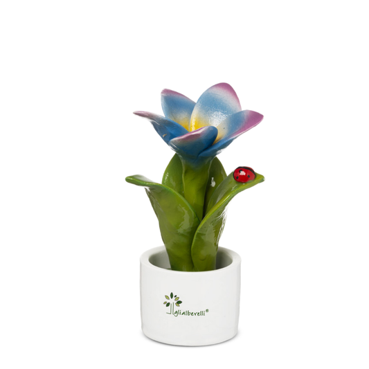 PIANTINA FRANGIPANE GLI ALBERELLI | in ceramica di Capodimonte vari colori | Ø6x14cm