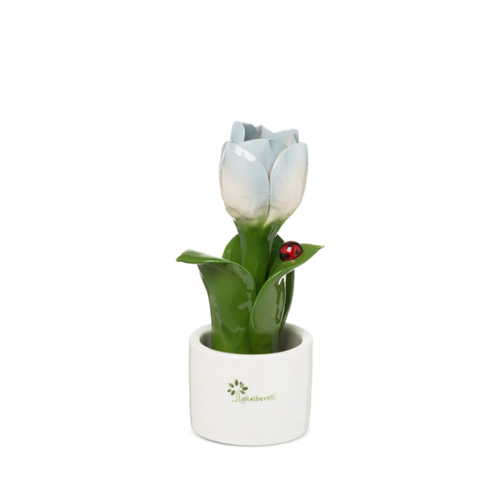 PIANTINA NATURA TULIPANO GLI ALBERELLI | in ceramica di Capodimonte vari colori | Ø6x14cm