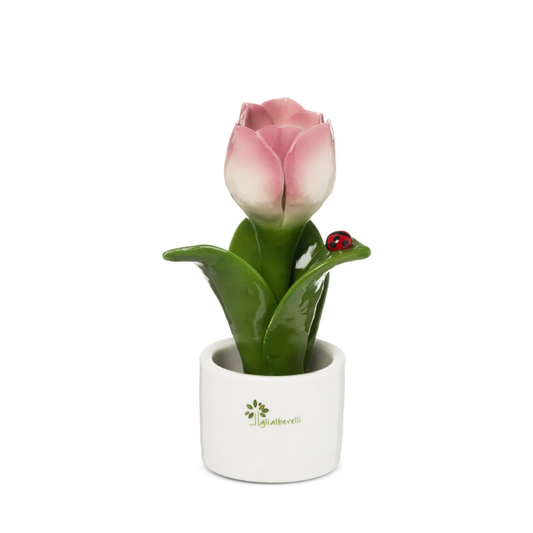 PIANTINA NATURA TULIPANO GLI ALBERELLI | in ceramica di Capodimonte vari colori | Ø6x14cm