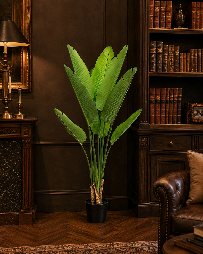 STERLIZIA DINO BIANCHI - in vaso - 110cm | Adele Chérie