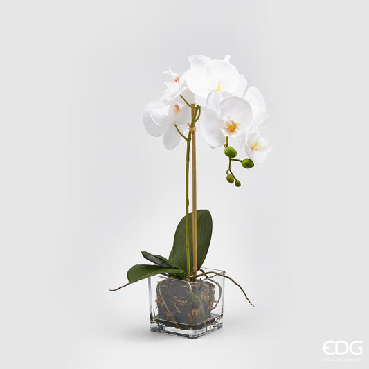 ORCHIDEA CON VASO | h54cm - | Adele Chérie - articoli da regalo e bomboniere