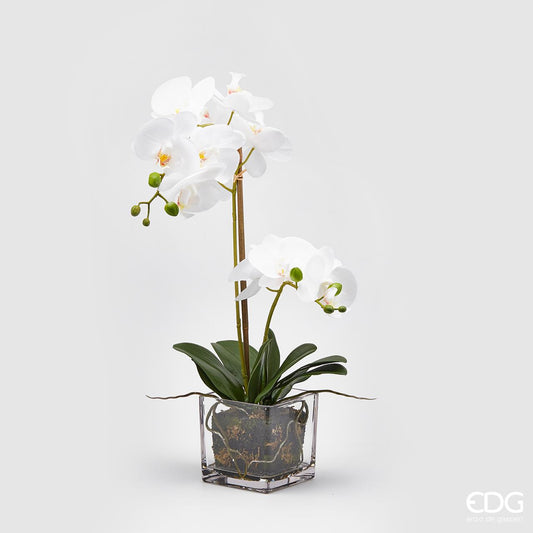 ORCHIDEA CON VASO | h59cm - | Adele Chérie - articoli da regalo e bomboniere