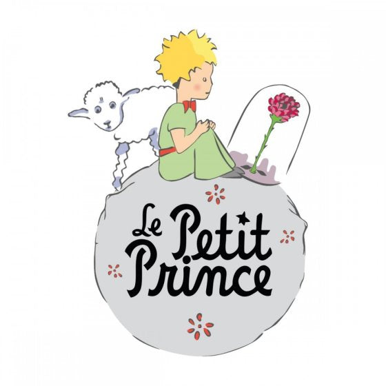 MAGNETE IL PICCOLO PRINCIPE SULLA TERRA - in resina - 8x5cm | Adele Chérie