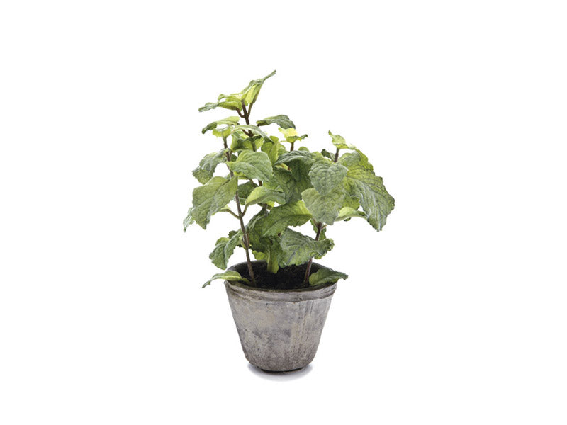 VASETTO MENTA VERDE | Ø10x21cm - | Adele Chérie - articoli da regalo e bomboniere