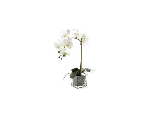 PHALAENOPSIS 3D | pianta artificiale in vasetto di vetro | 48cm - | Adele Chérie - articoli da regalo e bomboniere