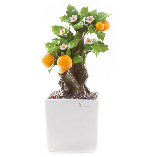 BONSAI ARANCIO GLI ALBERELLI | in ceramica di Capodimonte | 12x18cm - | Adele Chérie - articoli da regalo e bomboniere